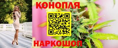 индика Донецк