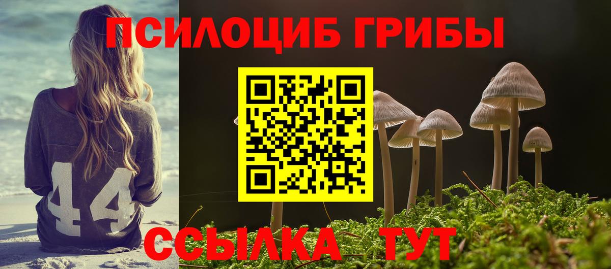 Псилоцибиновые грибы GOLDEN TEACHER Майкоп