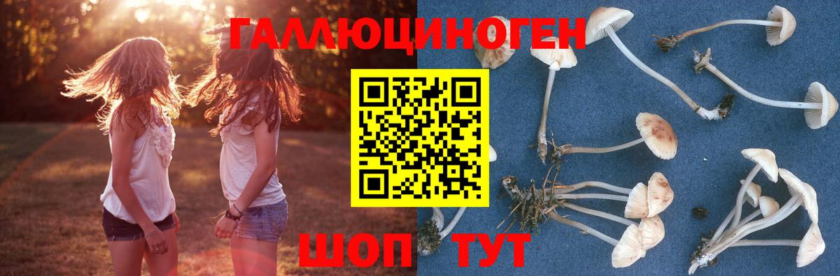 Галлюциногенные грибы прущие грибы  Вход с VPN  Галлюциногенные грибы ЛСД  Майкоп 